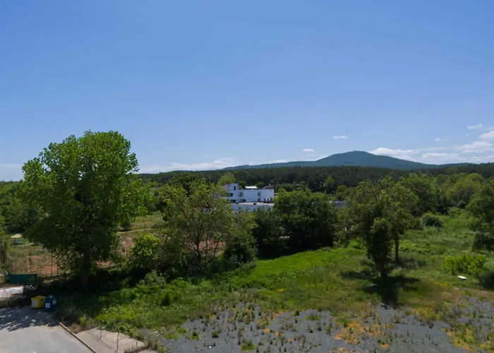 Първа Линия Хотел С Адрес К-С Реджина Маре Царево Царево